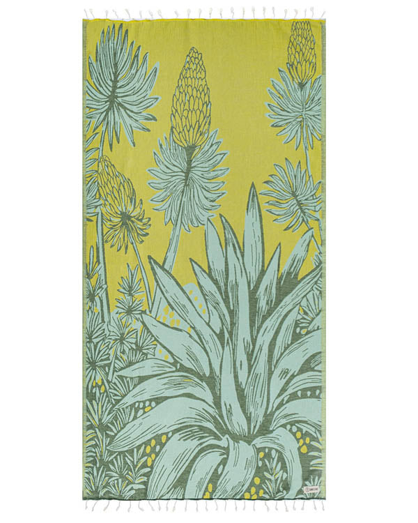 Agave - SAND CLOUD