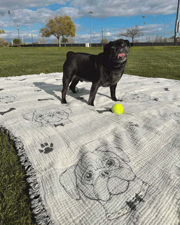 Pug – PARTY BLANKET™ - SAND CLOUD